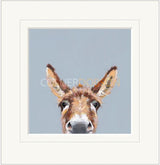 well hello there mounted print by artist nicky litchfield