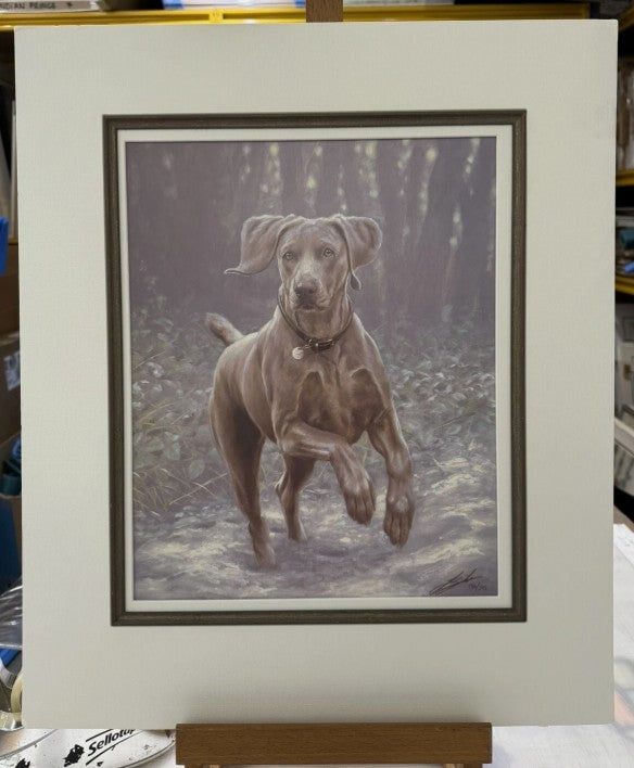 winter wonderland mounted print by artist john silver