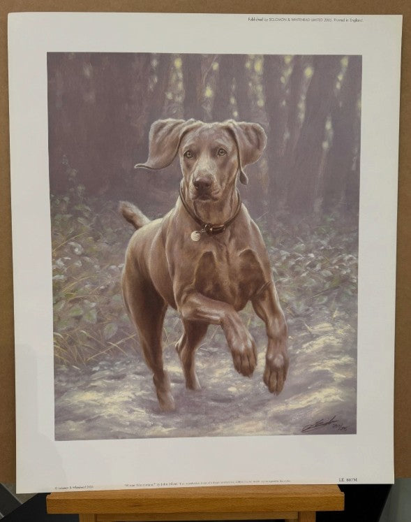 winter wonderland print by artist john silver