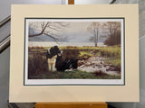 working pair artist proof mounted print by artist steven townsend