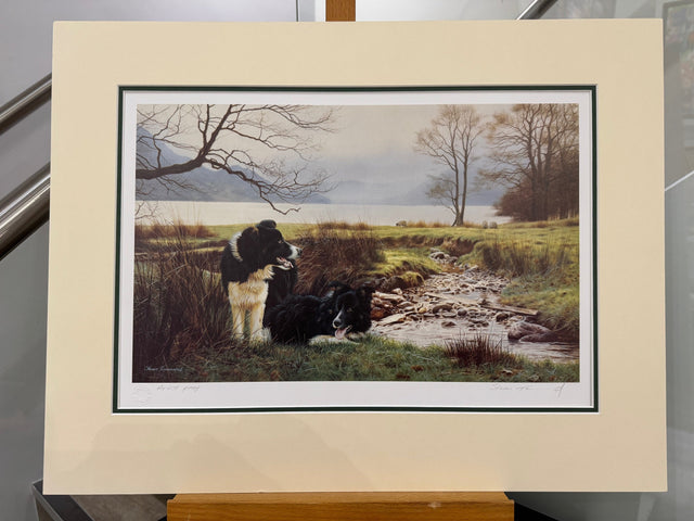 working pair artist proof mounted print by artist steven townsend