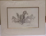 zebra pencil mounted print by artist david shepherd
